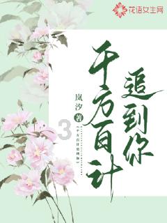 复仇机器人中文版