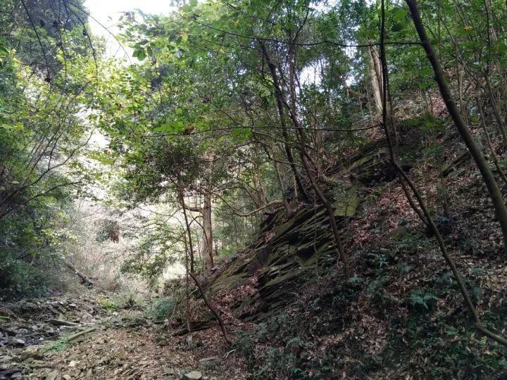 复盘湘江战役:这场军史上著名的惨败能否避免?