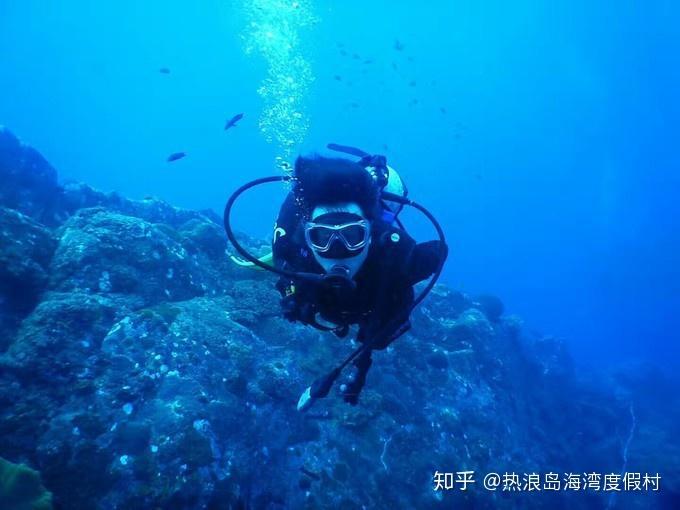 2023珠海财政答卷(三)| 强化“百千万工程”资金要素保障