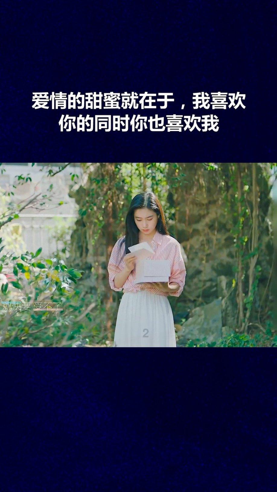 美妙森林找不同