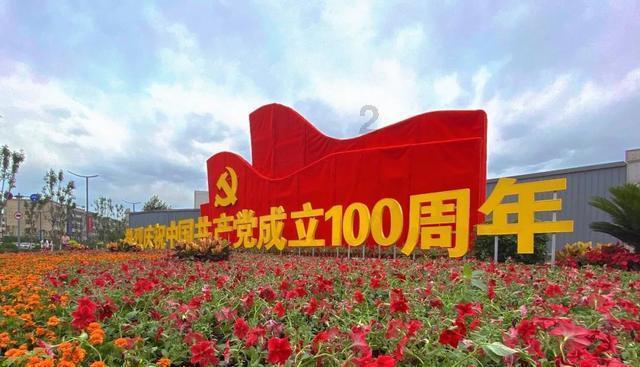 可爱小猫向上跳