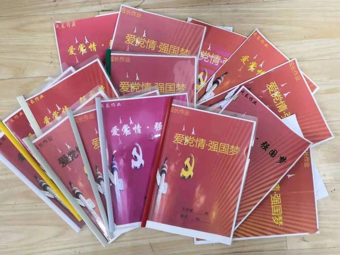中国小动物保护协会直播分享两只被救助的猫咪状态