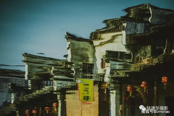 救援有趣的孔雀