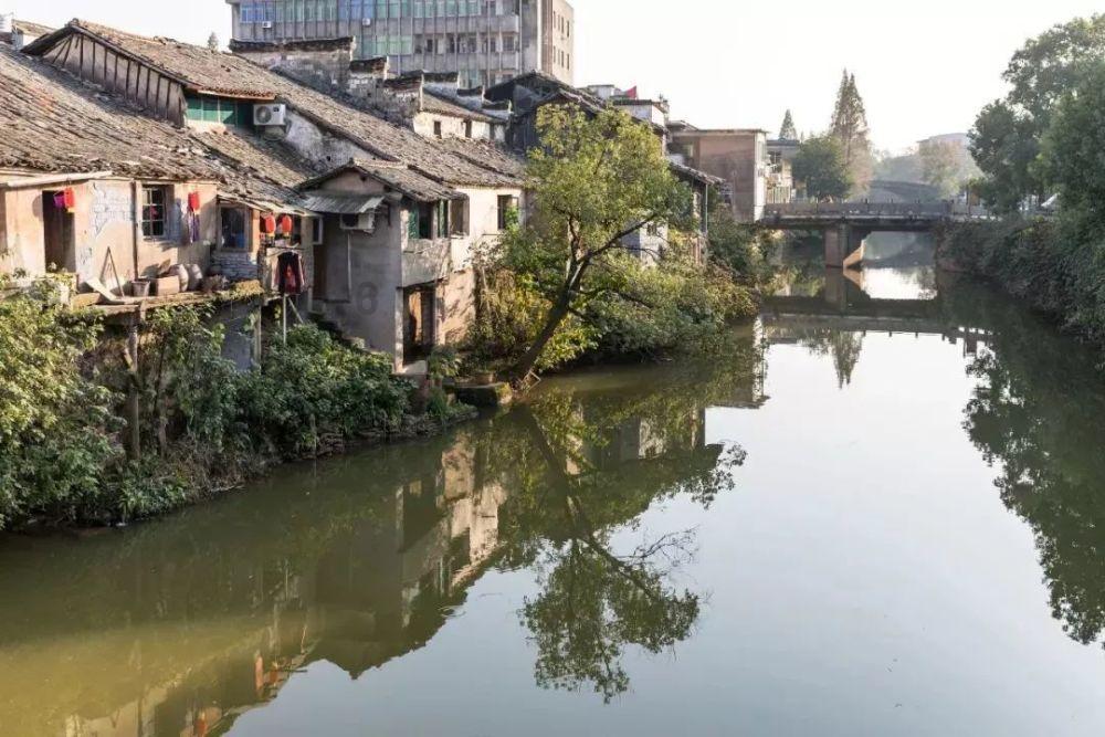 迷路的老奶奶