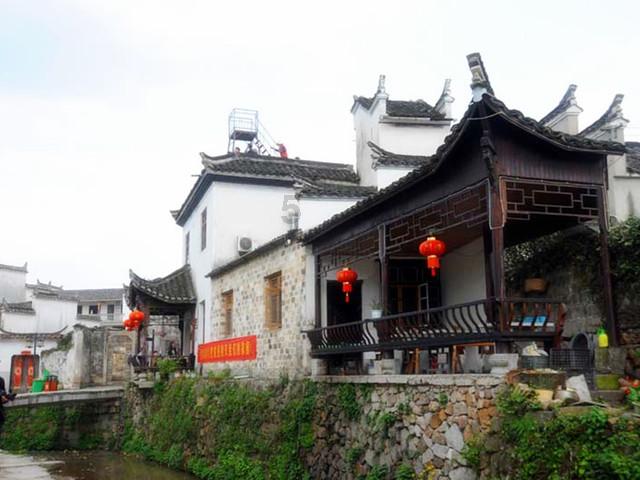 寻找萌小老虎